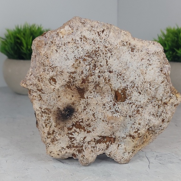 Pink Amethyst Display | Love, Emotional Healing & Tranquility - Picture 4 of 4